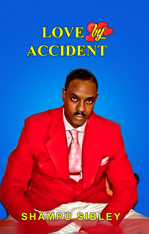 Novel #3 - Love by Accident